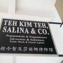 Teh salina co & teh kim Associates