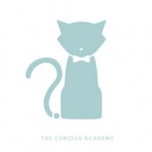 The Curious Academy business logo picture