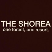 The Shorea business logo picture