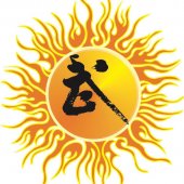 The Sun Martial Arts 正阳武术 business logo picture