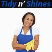 Tidy N Shines business logo picture