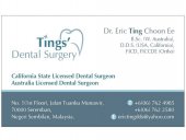 Tings Dental Surgery Tuanku Munawir business logo picture