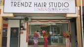 Trendz Hair Studio business logo picture