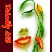 Trinity JAS Flowers business logo picture