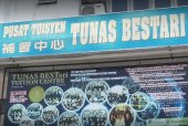 Tunas Bestari Tuition Centre business logo picture