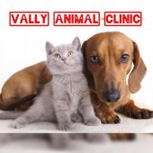 Vally Veterinary Clinic & Surgery business logo picture