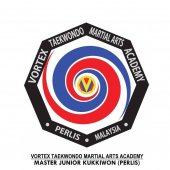 Vortex Taekwondo Martial Arts Academy business logo picture