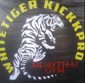 White Tiger Kickkpro Muaythai Gym business logo picture