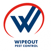 Wipeout Pest Control Services business logo picture