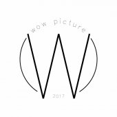 Wowpicture business logo picture