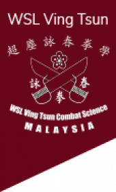 WSL Ving Tsun Combat Science  business logo picture