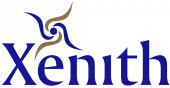 Xenith Consultancy business logo picture