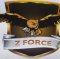 Z Force Security Services & System picture