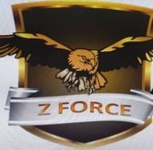 Z Force Security Services & System business logo picture