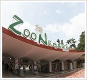 Zoo Negara business logo picture