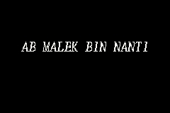 AB MALEK BIN NANTI business logo picture