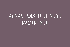AHMAD NASPU B MOHD RASIP-MCE business logo picture