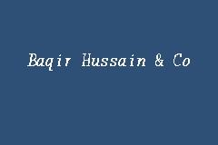 Baqir Hussain & Co business logo picture