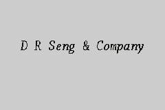 D R Seng & Company business logo picture