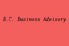 E.C. Business Advisory business logo picture