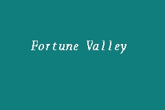 Fortune Valley business logo picture
