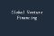Global Venture Financing Picture