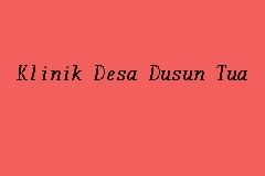 Klinik Desa Dusun Tua business logo picture