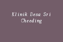 Klinik Desa Sri Cheeding business logo picture