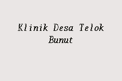 Klinik Desa TelUk Bunut business logo picture