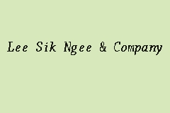 Lee Sik Ngee & Company business logo picture