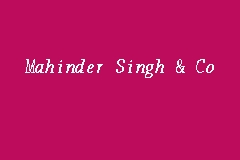 Mahinder Singh & Co business logo picture