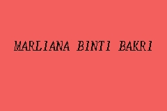 MARLIANA BINTI BAKRI business logo picture
