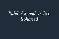 Mohd Aminudin Bin Mohamed business logo picture