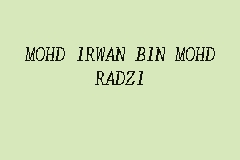 Mohd Irwan Bin Mohd Radzi business logo picture