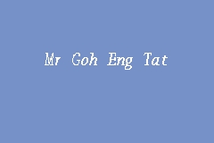 Mr Goh Eng Tat business logo picture