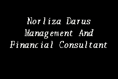 Norliza Darus Management And Financial Consultant business logo picture