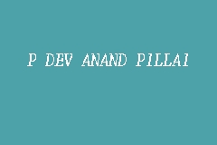 P DEV ANAND PILLAI business logo picture