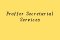 Proffer Secretarial Services profile picture