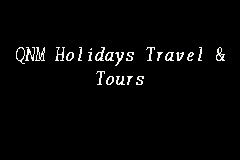 QNM Holidays Travel & Tours business logo picture