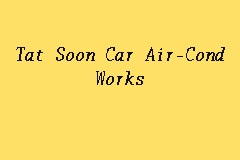 Tat Soon Car Air-Cond Works business logo picture