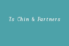 Ts Chin & Partners business logo picture